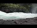 Elk Falls: An EPIC Waterfall Hike near Campbell River, B.C.