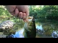 Summer Fishing a small pond for Bass & Pickerel w/ a Rapala & Spinnerbait