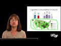 Leslie Zimmerman, MD, Lung Cancer Part 1: Epidemiology and Risk Factors