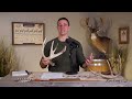 Whitetail Deer Growth & Maturity: How To Age A Buck