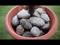 5 Minutes Easy DIY Water Feature Tutorial