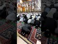 Shia Namaz| Shia ki Namaz|اہل تشیع کی نماز|شیعہ کمیونٹی کی نماز