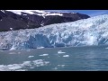 Seward, Ak Glacier Cruise