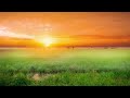 Relaxing Music for Calm Your Mind, Stress Relief, Recovery from Fatigue etc....