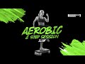 Aerobic & Step Session 2018 (130-135 bpm/32 count)