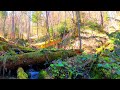 Relaxing Music For Stress Relief, Anxiety and Depressive States🌱 Beautiful Piano Soothing Music