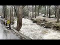 GATLINBURG FLOODING Schools, National Park, Greystone Hts Bridge Closed River Rd Underwater 1/9/2024