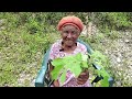 🔥 87 Year-Old GREAT GRANDMA Shares SHOCKING Testimonies Of Herbs  🇯🇲 #herbal #herbs