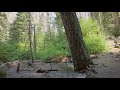 8hr  Calming Mountain Stream Sounds near Waterfall in Montana - Relaxation and Meditation