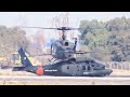 Helicópteros Black Hawk y UH-1H Fach