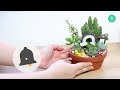 BEST TIPS | HOW TO PLANT CACTI AND SUCCULENTS TOGETHER | SUCCULENT ARRANGEMENT