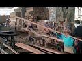 wujud kayu kruwing//proses sawing kayu kruwing eps01