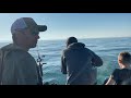 June 16th Port Washington Salmon Fishing