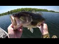 Big Bass CAN'T RESIST The Wacky Worm!