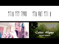 Celtic Hymn on Tin Whistle D + tabs tutorial