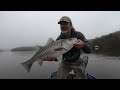 Striper Insanity At Lake Lanier #fcpfishing