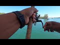 13 fish in 9 minutes! Pier fishing in the Detroit River! HOT SPOT!