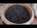 How To Grow Cherry Plant At Home Fast And Easy