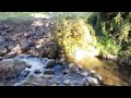 Hobart Rivulet Part 1 #foryou #fyp #foryoupage