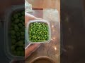 Shelling English Peas