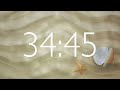 50 Minute Timer with Relaxing Music and Alarm 🎵⏰