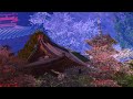 4K映像 桜の名所「身延山 久遠寺のしだれ桜」cherry blossom japan 日蓮宗総本山 樹齢400年 日本の美しい四季 春 山梨県身延町 3月下旬 お花見 絶景自然風景 8K撮影