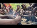 Traditional Hadza Cooking: Mastering Meals in the Wild | Hadza life