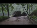 Improve insomnia with the soft sound of rain on a quaint walking path, sleep with rain sound ASMR