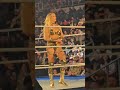 Charlotte Flair Entrance SmackDown Live / Tribute to the Troops 12/8/23