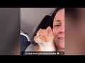 Funny Moments of Cats | Funny Video Compilation - Fails Of The Week #37