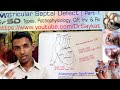 Medical Lectures | Channel Trailer | Basic & Clinical | Dr. Saykat