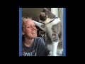 Try Not To Laugh😁 Funniest pets 😂 Funny Cat And Dogs Videos #4 #pets