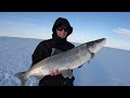 4 Days Camping & Fishing on Arctic Ocean - GIANT Sheefish Catch & Cook Alaska Adventure