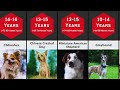 Dog Lifespan Comparison