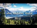 Calm Ambient Music for Stress Relief • Music for Meditation and Sleeping [ 2 HOURS ] 🤍🕊️