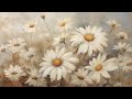 Floral TV Art, Wildflower TV Art | Spring Summer Floral Artwork Background Screensaver 4k Frame Hack