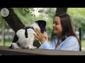 DOG TV: Video Entertainment for Lonely Dog When Home Alone - Music to Cure Anxiety & Boredom for Dog