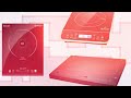 Best Portable Induction Cooktops 2024 [Don't Buy Until You WATCH This!]