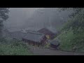 Fall Asleep in Just 3 Minutes With Heavy Rain, Winds in The Foggy Forest, no Thunder
