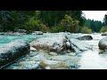 Relaxing Sound of Flowing Water | Pure and Pristine Nature Sounds