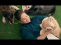 Yum Yum Dog Food TV Ad Q2 2023 30s with Coco Martin (Philippines)