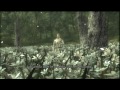 Metal Gear Solid 3: Snake Eater HD Cutscenes - The Boss Final Battle