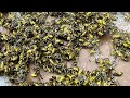 Aptive Environmental Fail!  Owner removes wasps with shop vac.
