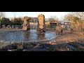 elephants at chester zoo