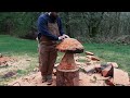 Mushroom chainsaw wood carving