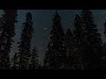 8 Hours of Relaxing Nighttime Forest Ambience ~ Crickets, Windy Trees, Distant River Sounds ~
