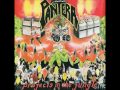 Pantera - Like Fire