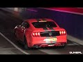 BEST OF FORD MUSTANG SOUNDS! Shelby GT500, Alphamale Widebody, GT350, RTR Widebody, Royal Crimson GT