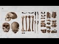 The Neanderthals That Taught Us About Humanity