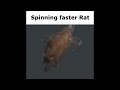 just a spinning rat